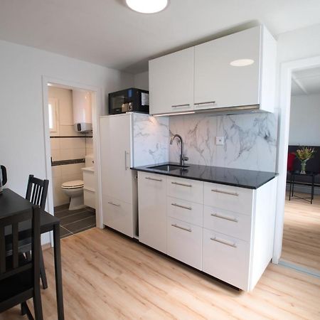 Salmsach Lake Getaway Apartment With Private Entrance, Right On The Lake Constance Cycle Path, Barbecue Area, Free Wifi, Netflix And Free Bikes מראה חיצוני תמונה