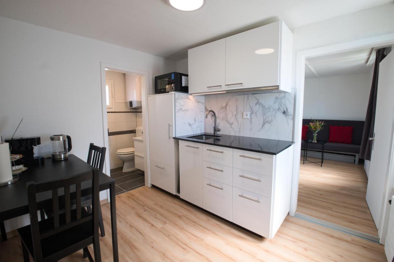 Salmsach Lake Getaway Apartment With Private Entrance, Right On The Lake Constance Cycle Path, Barbecue Area, Free Wifi, Netflix And Free Bikes מראה חיצוני תמונה
