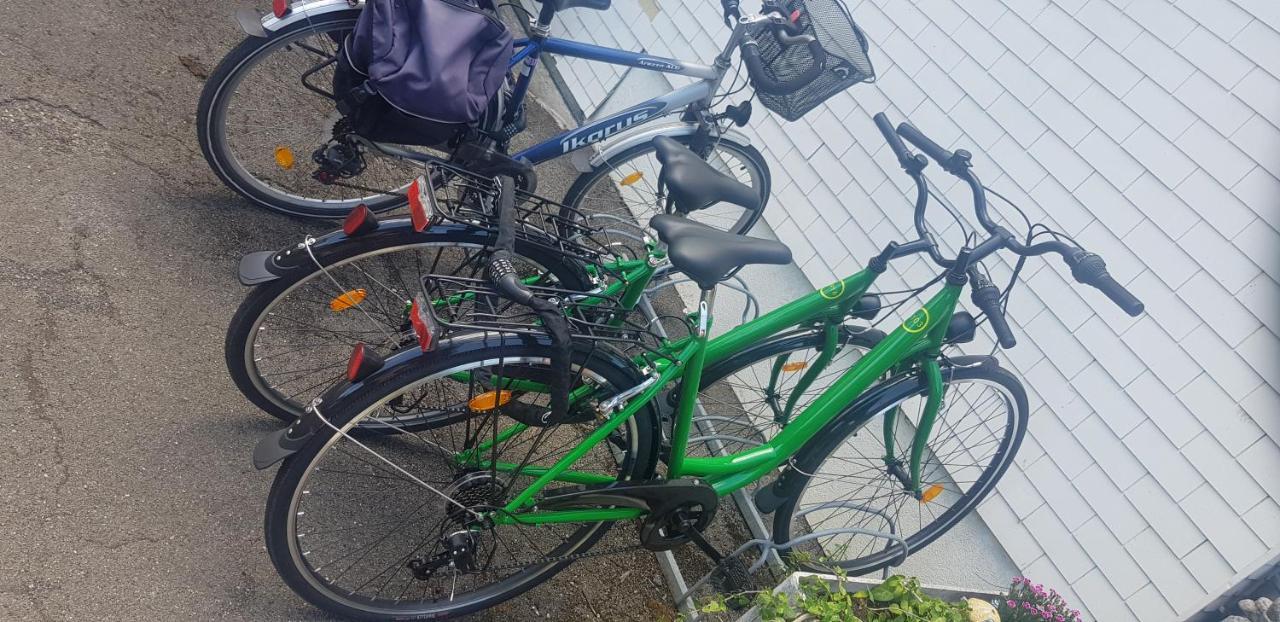 Salmsach Lake Getaway Apartment With Private Entrance, Right On The Lake Constance Cycle Path, Barbecue Area, Free Wifi, Netflix And Free Bikes מראה חיצוני תמונה