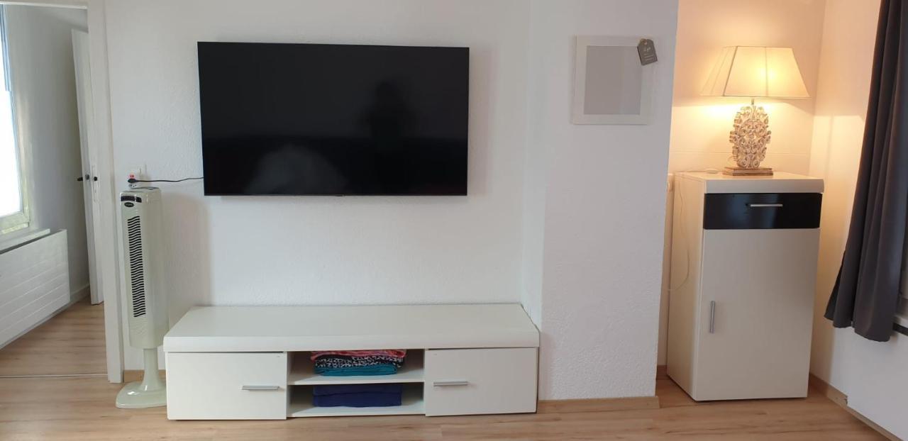 Salmsach Lake Getaway Apartment With Private Entrance, Right On The Lake Constance Cycle Path, Barbecue Area, Free Wifi, Netflix And Free Bikes מראה חיצוני תמונה