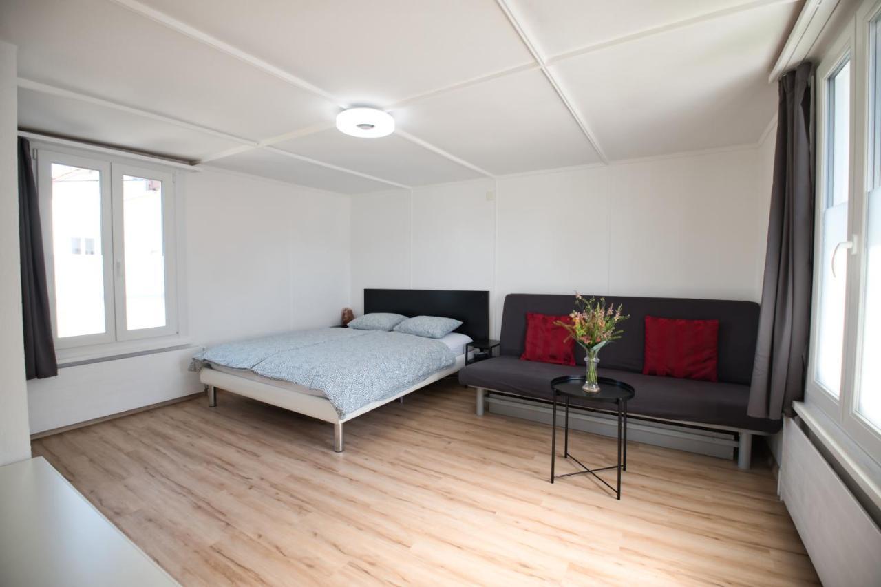 Salmsach Lake Getaway Apartment With Private Entrance, Right On The Lake Constance Cycle Path, Barbecue Area, Free Wifi, Netflix And Free Bikes מראה חיצוני תמונה