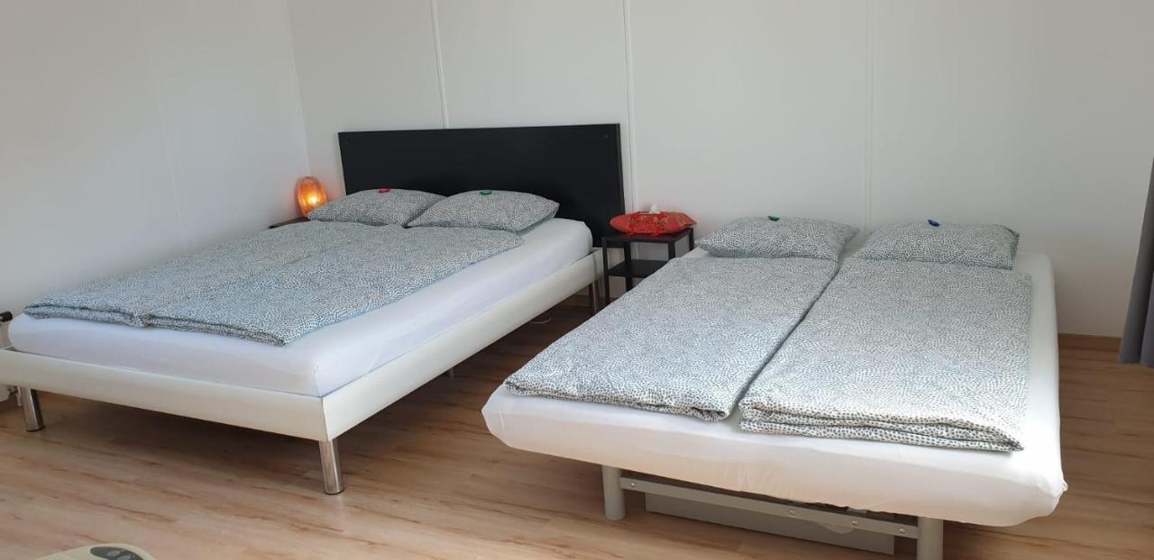 Salmsach Lake Getaway Apartment With Private Entrance, Right On The Lake Constance Cycle Path, Barbecue Area, Free Wifi, Netflix And Free Bikes מראה חיצוני תמונה